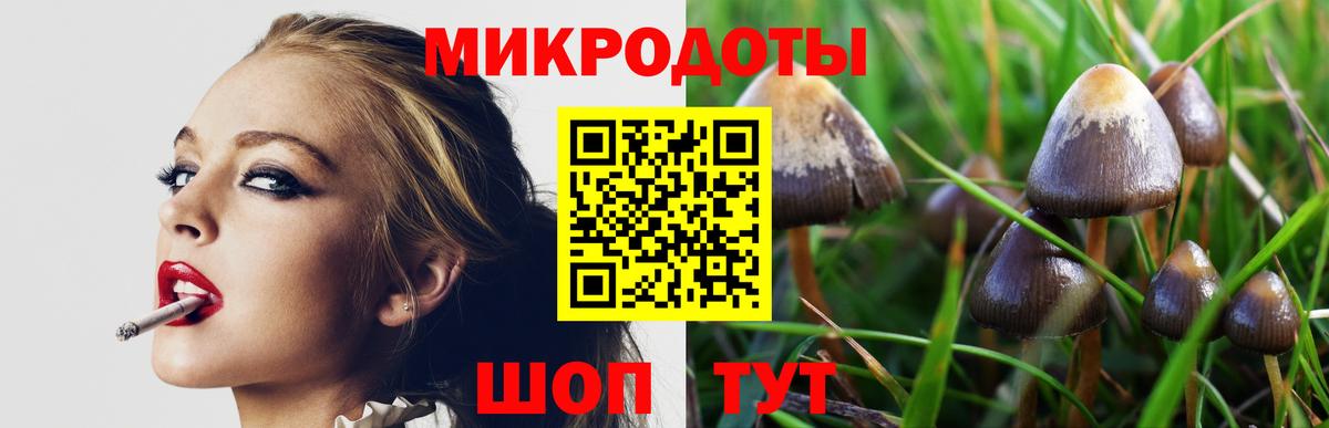 Псилоцибиновые грибы мицелий  Вход с VPN  Саянск 
